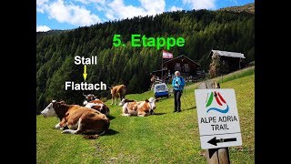 Der Alpe Adria Trail: 700 Kilometer zu Fuß vom Großglockner an die Adria