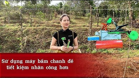 [Hướng dẫn] Sử dụng máy bấm chanh dây hiệu quả, tiết kiêm chi phí, nhân công