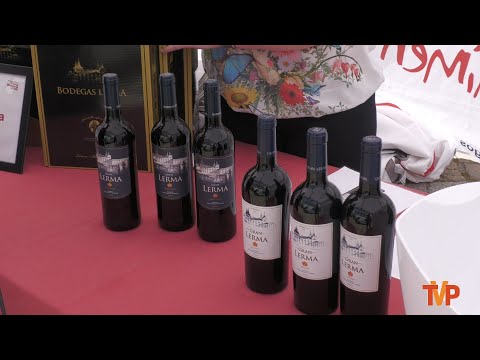 Feria Vinos con Historia en Covarrubias - 2023