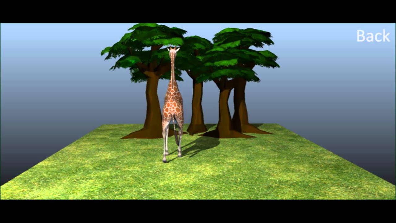 Giraffe Walk Cycle