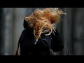 Tempête David frappe l'Europe du Nord 🌬️