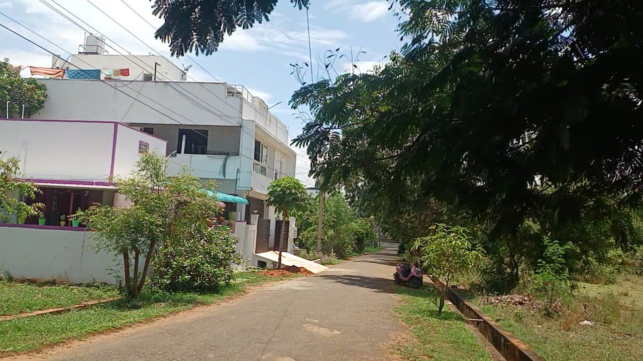 3 சைட்டுகள் விற்பனைக்கு, அவிநாசி புது பஸ் ஸ்டேண்ட் அருகில்.. 