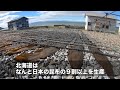 【北海道】食卓から日本産の昆布が減る！？漁獲量が半分に激減した北海道の昆布｜ソーシャルイノベーションニュース