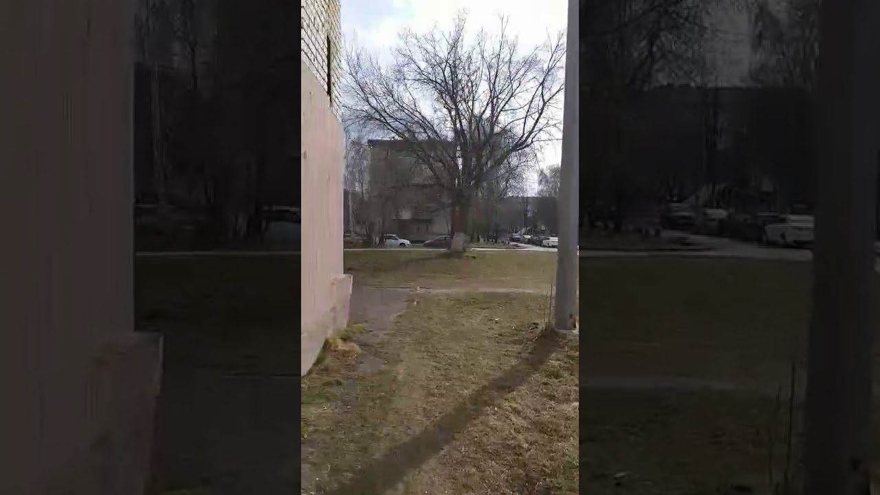 Не соблюдают самоизоляцию! Поймал короновирусных