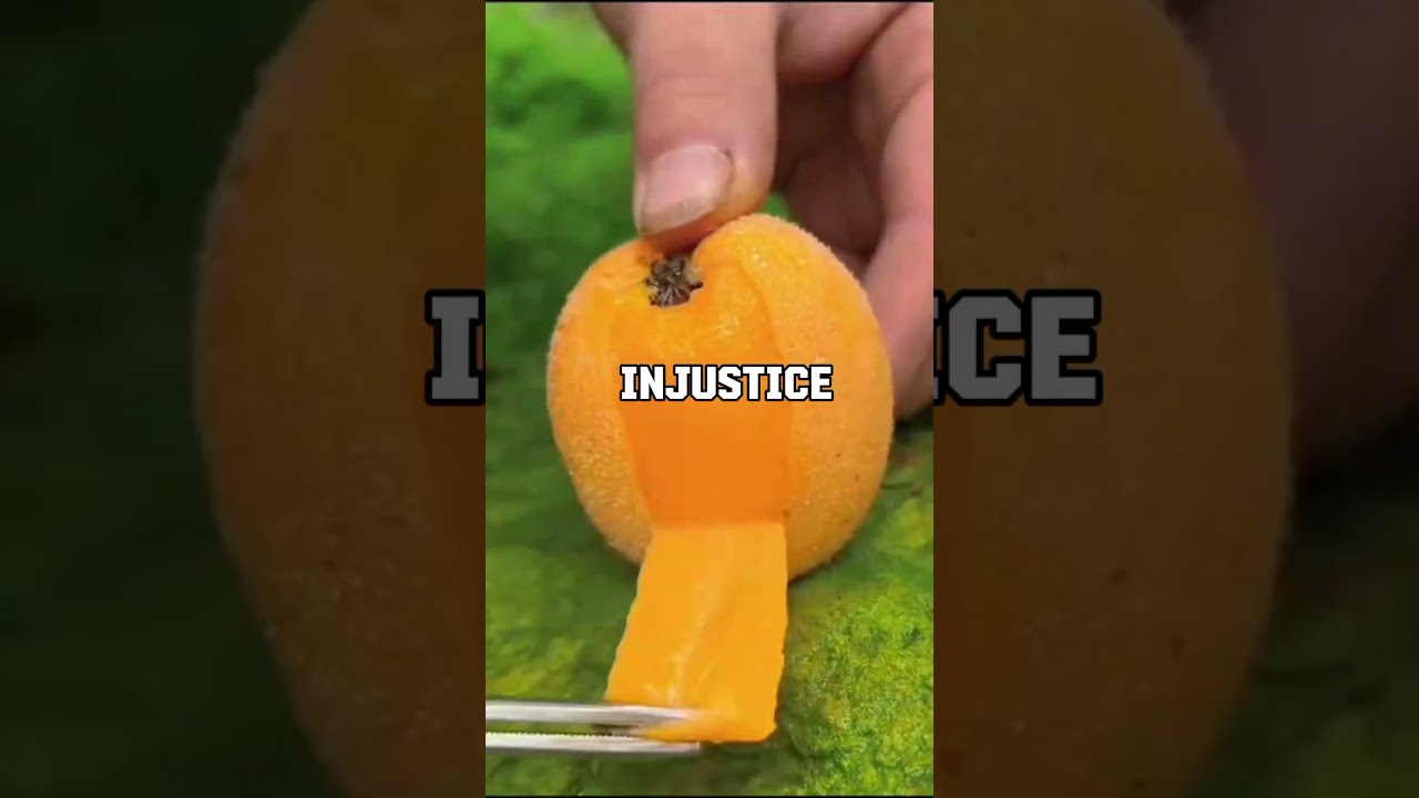 How Did Someone Try To Talk Their Way Out Of Being Punishe 