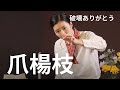 破壊ありがとう コント『爪楊枝』