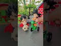 Why is Goku so happy? #dragonball #goku #actionfigures #shorts