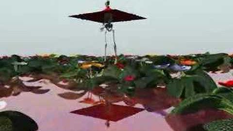 CLOTH MOTION ANIMATION