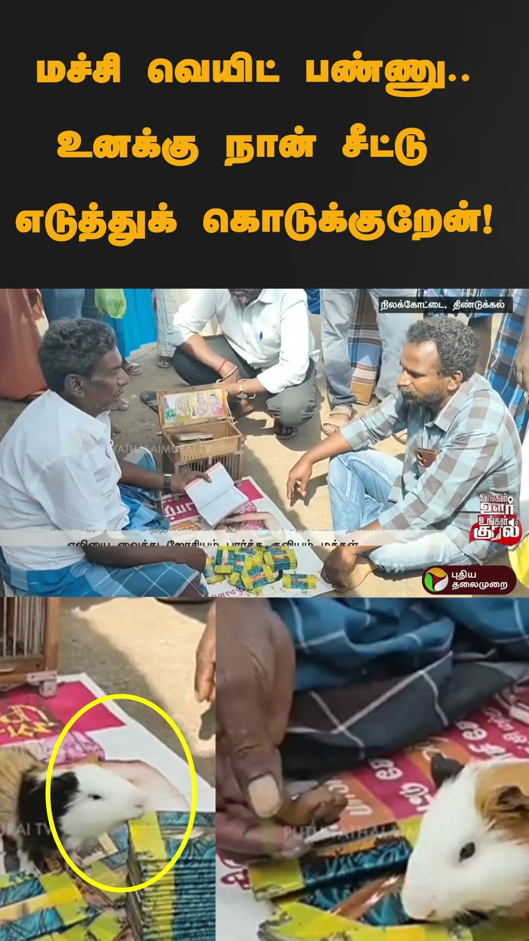 மச்சி வெயிட் பண்ணு..உனக்கு நான் சீட்டு எடுத்துக் கொடுக்குறேன்! | #shorts | #rat | #jhosiyam