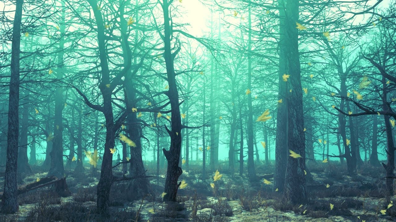 Maxx Forest Rythmic Drive thru a Gloomy Forest Relaxing Meditation Music | Rhythmic ...