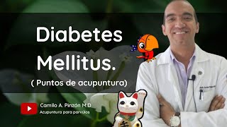 DIABETES MELLITUS: puntos de acupuntura para su manejo | Acupuntura para párvulos.