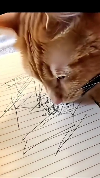 Cat tu Mera kitab kharab kar diya 😲😭#cat #comedy #shots #funnyvideo