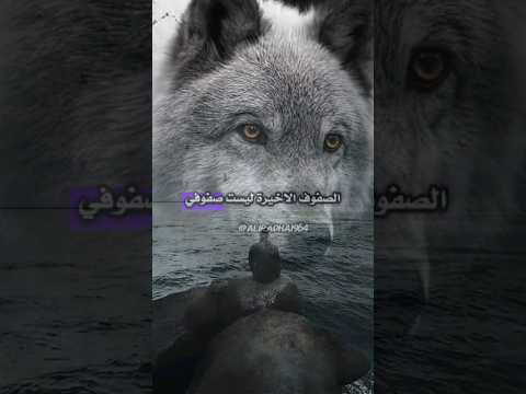 الصفوف الاخيرة ليست صفوفي