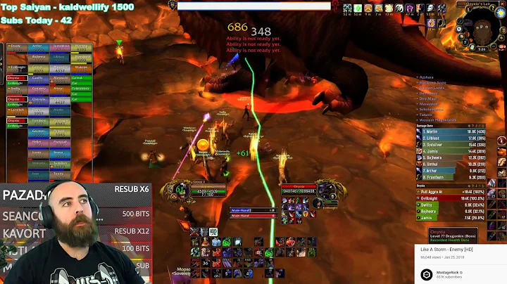 Bajheera - Is Arms Warrior DPS Viable in Raids? (Onyxia Fight) - WoW Classic Warrior PvE