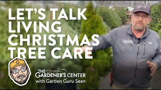 Let's Talk Living Christmas Tree Care 🎄 Garden Guru Sean at The Gardener's Center