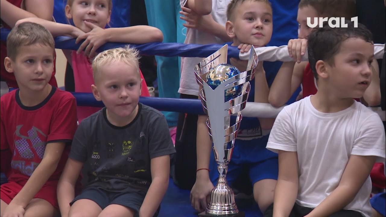 Виктор Михайлов кикбоксинг
