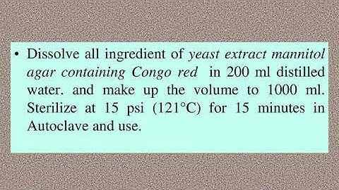 3  Isolation of Rhizobium from legume crop 1