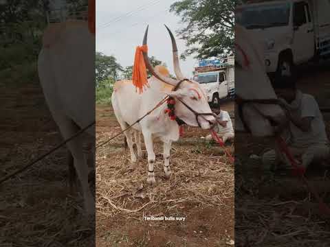 ಮಂಟೂರ ಹುಚ್ಚ
