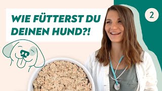 Wann Und Wie Oft Sollte Hellobello Frischfutter Gefüttert Werden? Tierärztin Sarah Schneider