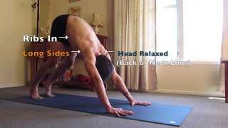 Yoga Jump Through Tutorial: Structural Alignment Net Worth