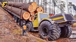 : 255 Dangerous Biggest Wood Logging Truck Drive Skill Working At Another Level