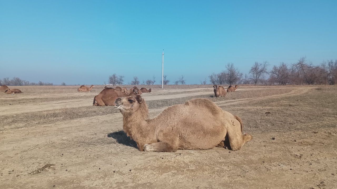 Обзор рыбхоза на 10 января.