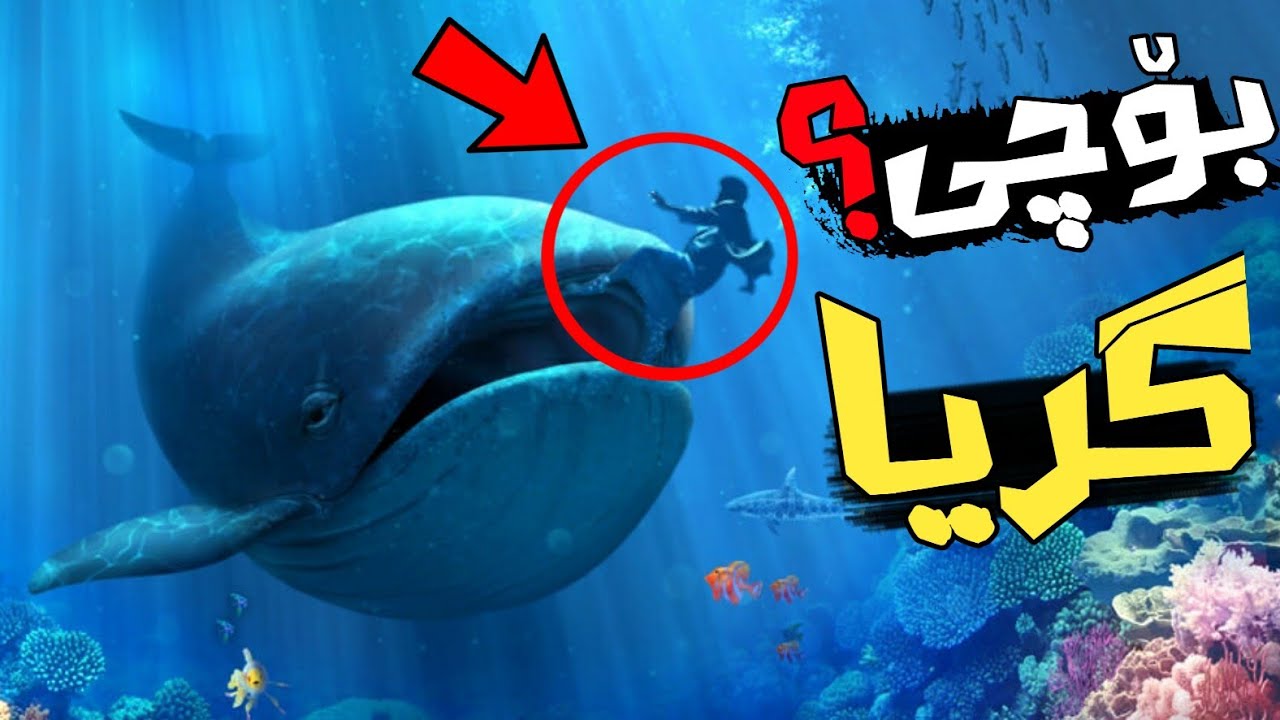 چۆن پێغەمبەر یونس توانی لەسکی نەهەنگەکە ڕزگاری ببێت؟! چ داوایەکی لەخودا کرد؟!!