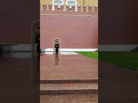 Vídeo: Monument al soldat desconegut (Moscou)