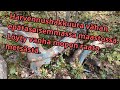 Tällä kertaa oli vähän kumpareisempaa harvennushakkuuta. VR78 Ponsse Scorpion K H7 AC FC