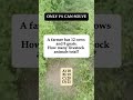 🐄🐐 12 Cows + 8 Goats – Total Livestock? #shorts #riddle