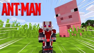 Me paso Minecraft pero soy Ant-Man