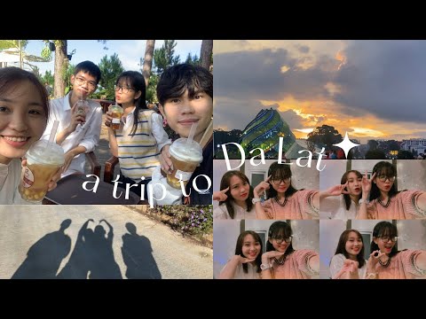 Vlog #5| A TRIP TO DALAT| Chuyến đi Đà Lạt bất ổn với nhóm bạn "thân ai nấy lo"