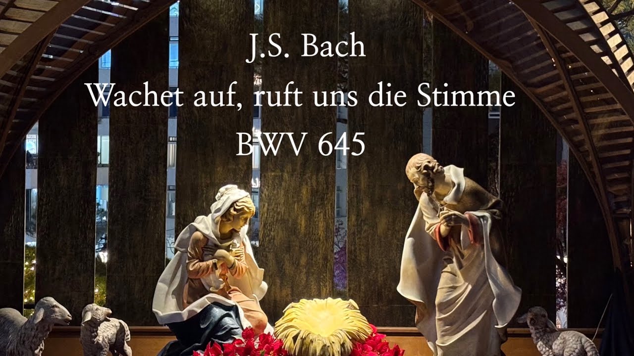 J.S. Bach “Wachet auf, ruft uns die Stimme” BWV 645 “깨어라 부르는 소리 있으니” 명동대성당