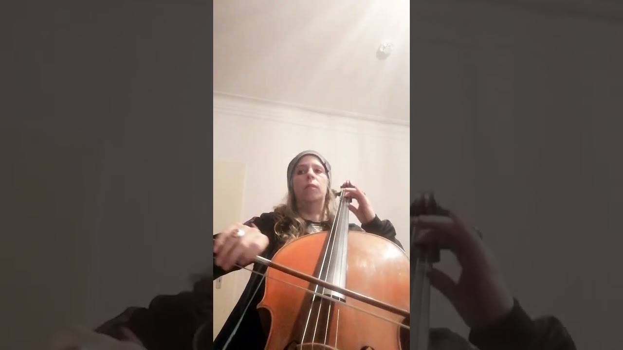 Story of my life, One Direction, arrangement for two cellos by Peter Deneff