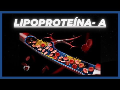 Vídeo: Quina lipoproteïna de baixa densitat?