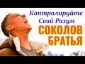 Контролируйте свой разум Соколов Братья Песни ♫ Супер Мелодичные песни христианские