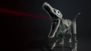 The Raptor | Rigging