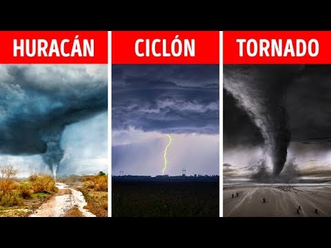 Vídeo: ¿Qué Es Un Tornado (tornado)? - Vista Alternativa