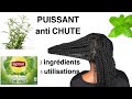 Cheveux naturels ternes et cassants  preepoo avec 3 ingrdients puissants