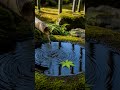 Forest Rain ASMR for Instant Calm & Deep Sleep Relief | Nature Shorts