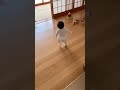 いきなり歩き出す赤ちゃん　Walking Baby #baby #赤ちゃん #cute #ai #元気になる動画