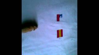 Espagne chili le pronostic de Darwin le Hamster