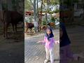 Hanin lagi lihat hewan qurban kak🐑🐄 #shortsviral #shortvideo #shorts #trending #viralvideo #fypシ