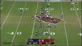 Tyler Huntley Snap count is hilarious