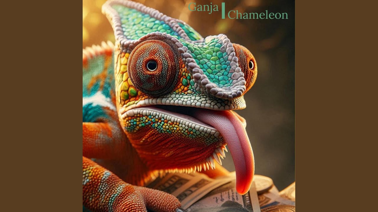 Chameleons