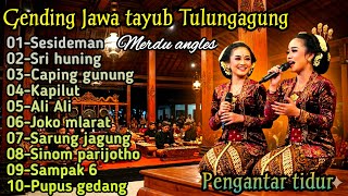GENDING TAYUB TULUNG AGUNG || SESIDEMAN,SRI HUNING,CAPING GUNUNG - GENDING PENGANTAR TIDUR NYAMLENG 