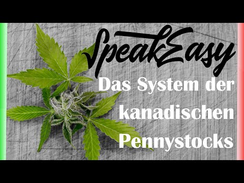 Speakeasy Cannabis Club - Aktienanalyse - DIESE RISIKEN MUSST DU KENNEN!