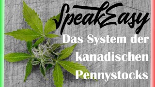 Speakeasy Cannabis Club - Aktienanalyse - DIESE RISIKEN MUSST DU KENNEN!