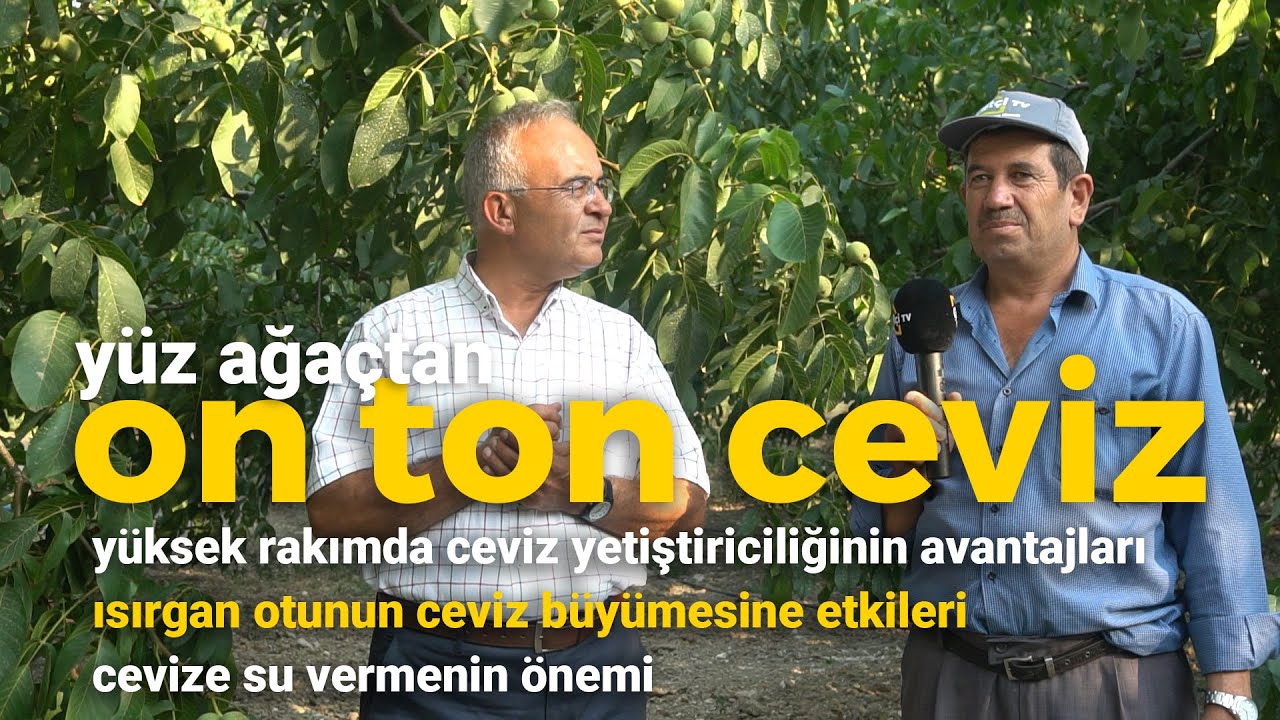 Ceviz Yetiştiriciliği (Yüksek Rakımda Yetiştiricilik, Sulama, Toprak) - Çetin Ceviz