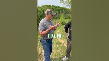 The best food plot advice for small land owners #foodplot #deer #deerhunting #hunting #shorts